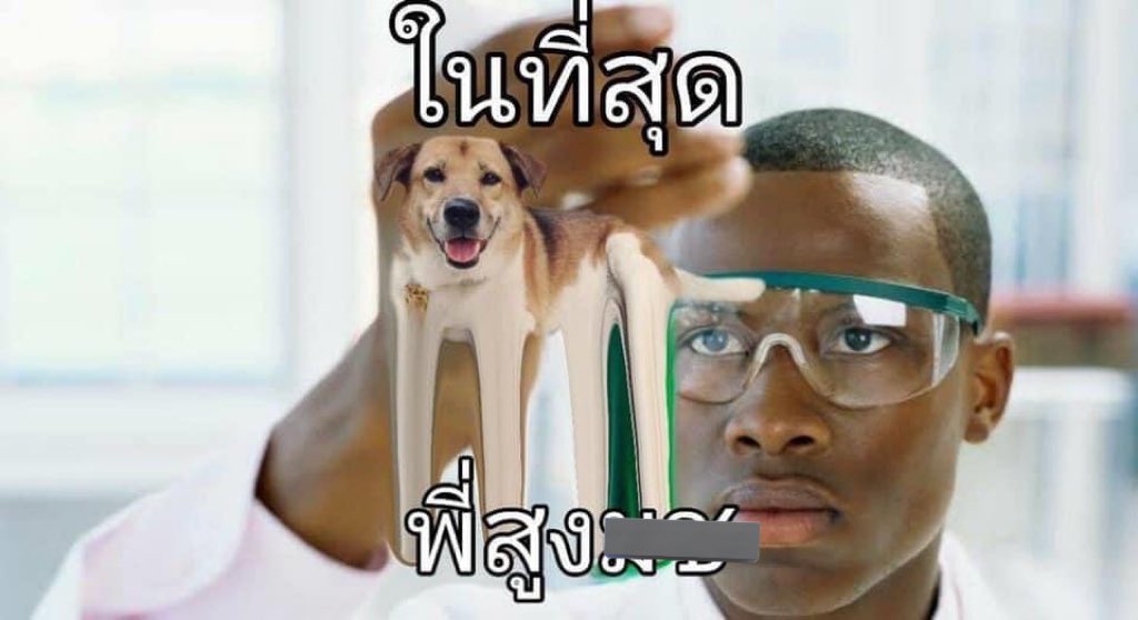 เด็กคนนั้นโตมากลายเป็น      เทอ