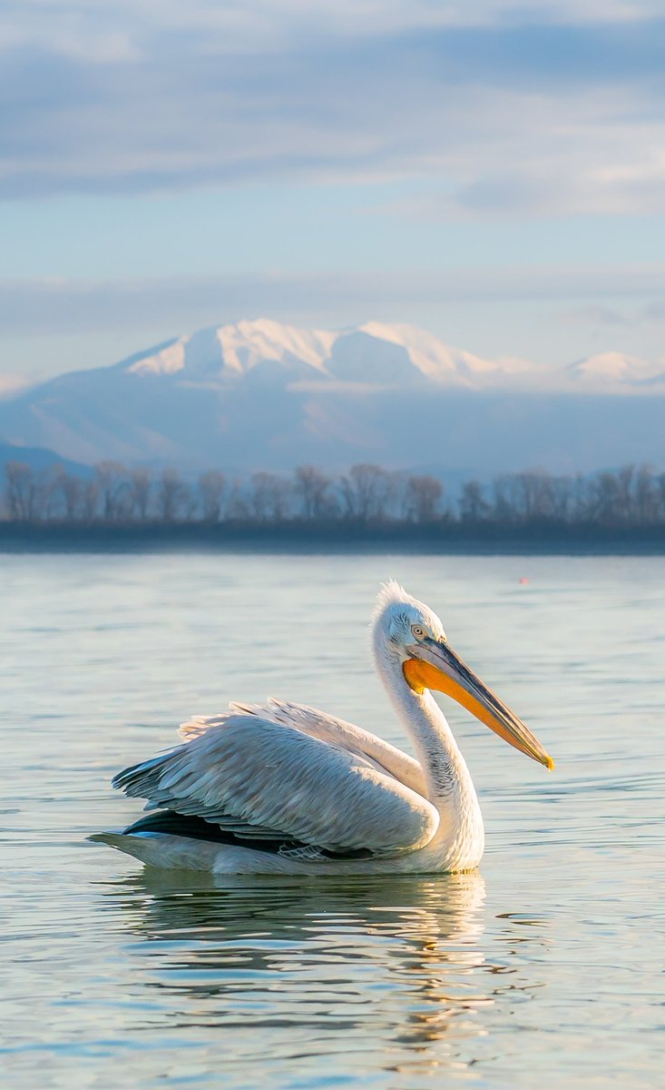 #whitepelican #lakekirkini stunning area and weather was kind to us .