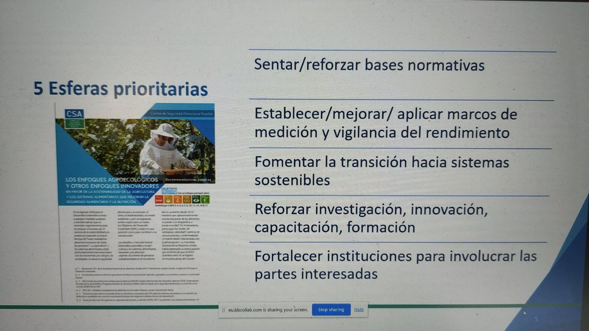 RaquelByR's tweet photo. El interesante #IXCongreso Internacional de #Agroecología se puede seguir en directo con los enlaces del programa:
📽️https://t.co/zN0jEzds7x

En la mesa de políticas públicas @FAO y @UN_CFS han destacado la importancia de la cocreación de conocimiento y de reforzar instituciones https://t.co/owm2tFBqjw