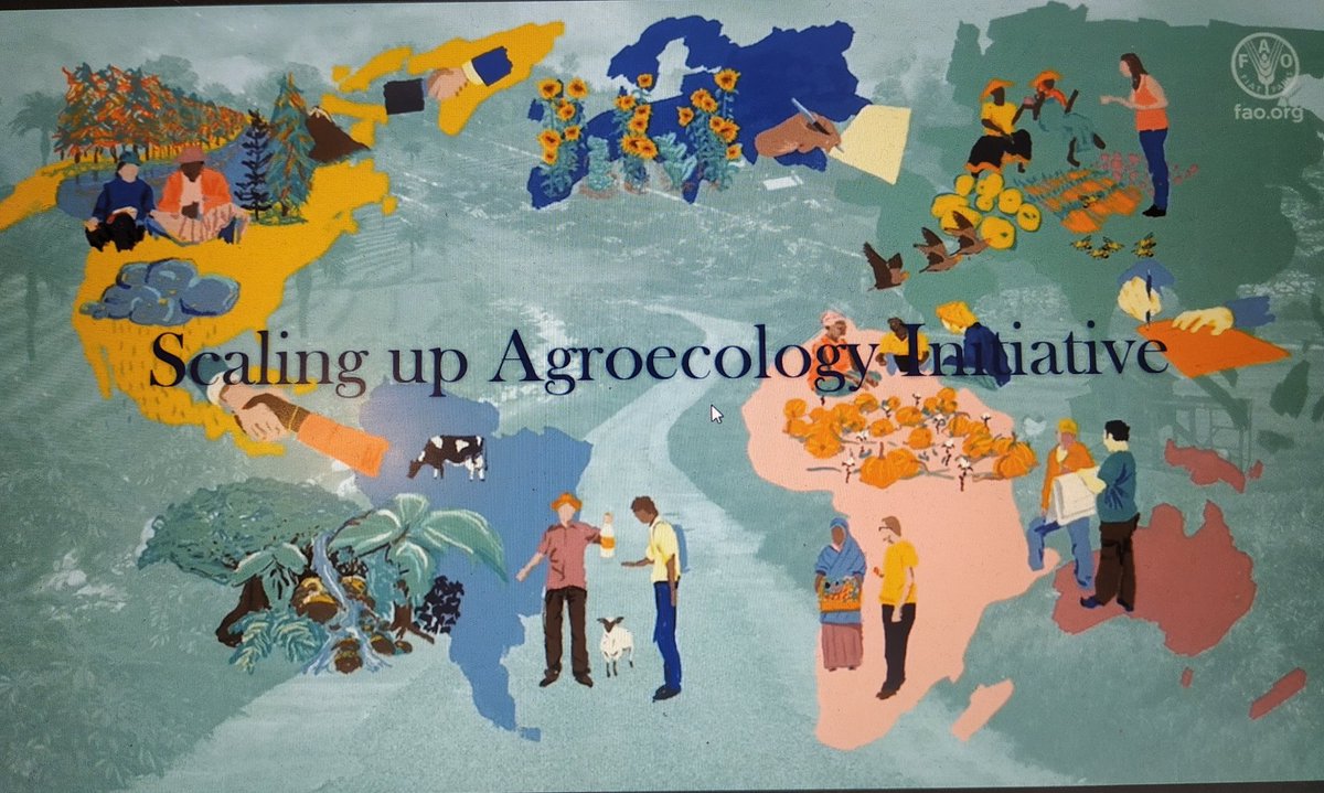 RaquelByR's tweet photo. El interesante #IXCongreso Internacional de #Agroecología se puede seguir en directo con los enlaces del programa:
📽️https://t.co/zN0jEzds7x

En la mesa de políticas públicas @FAO y @UN_CFS han destacado la importancia de la cocreación de conocimiento y de reforzar instituciones https://t.co/owm2tFBqjw