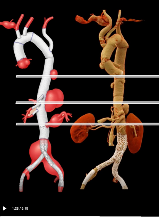 Marina Dias Neto tweet media