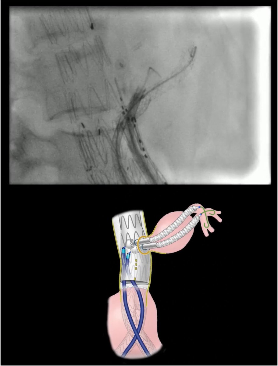 Marina Dias Neto tweet media