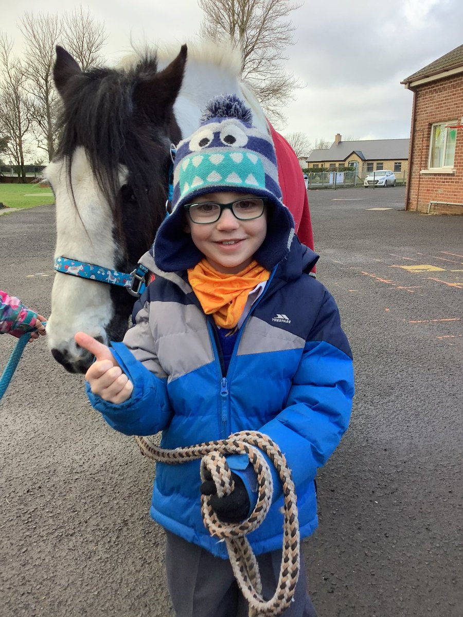 Straidhavern Primary School tweet media