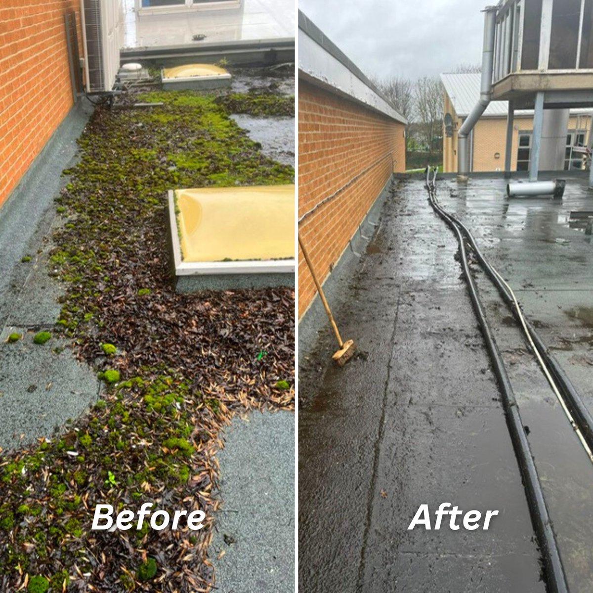 CleanItUK_Group's tweet photo. Removed and disposed of moss, vegetation and leaves from flat roof area and perimeter gutters at Stockton 6th Form Campus. 

Blocked gutters, gullies and downpipes prevent free flowing water which can lead to all types of leaks and water damage in to your property.

(1) https://t.co/aF1g13WpvS