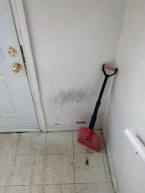 PickleSkull tweet media