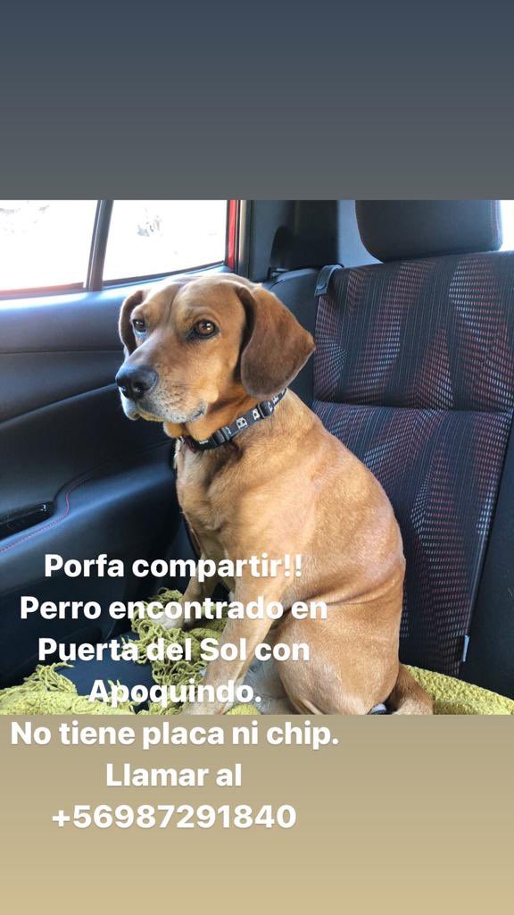 باولا سابات tweet media