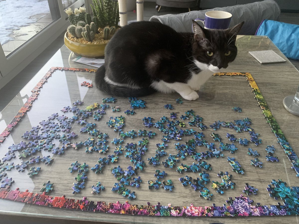 Milo: ‘Helping’ mum do a jigsaw…..she especially loves it when I steal a piece in my mouth and hide it! 😹😹😹😹
#CatsOnTwitter #CatsofTwittter #GoodCatting #Cat