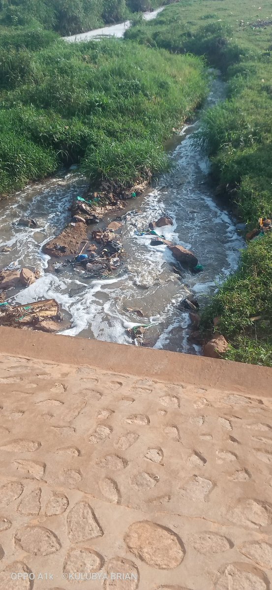 CallMeKulubya's tweet photo. Today I took an evening walk around #Kireka Bira on #Sentema road,but guys the #pollution is everywhere,no one cares about the plastic bags ,the water is struggling to flow,the picture above was showing #plastics ending into the wetland but shall we have a safer evnt with this? https://t.co/h7Sbs3T2h7