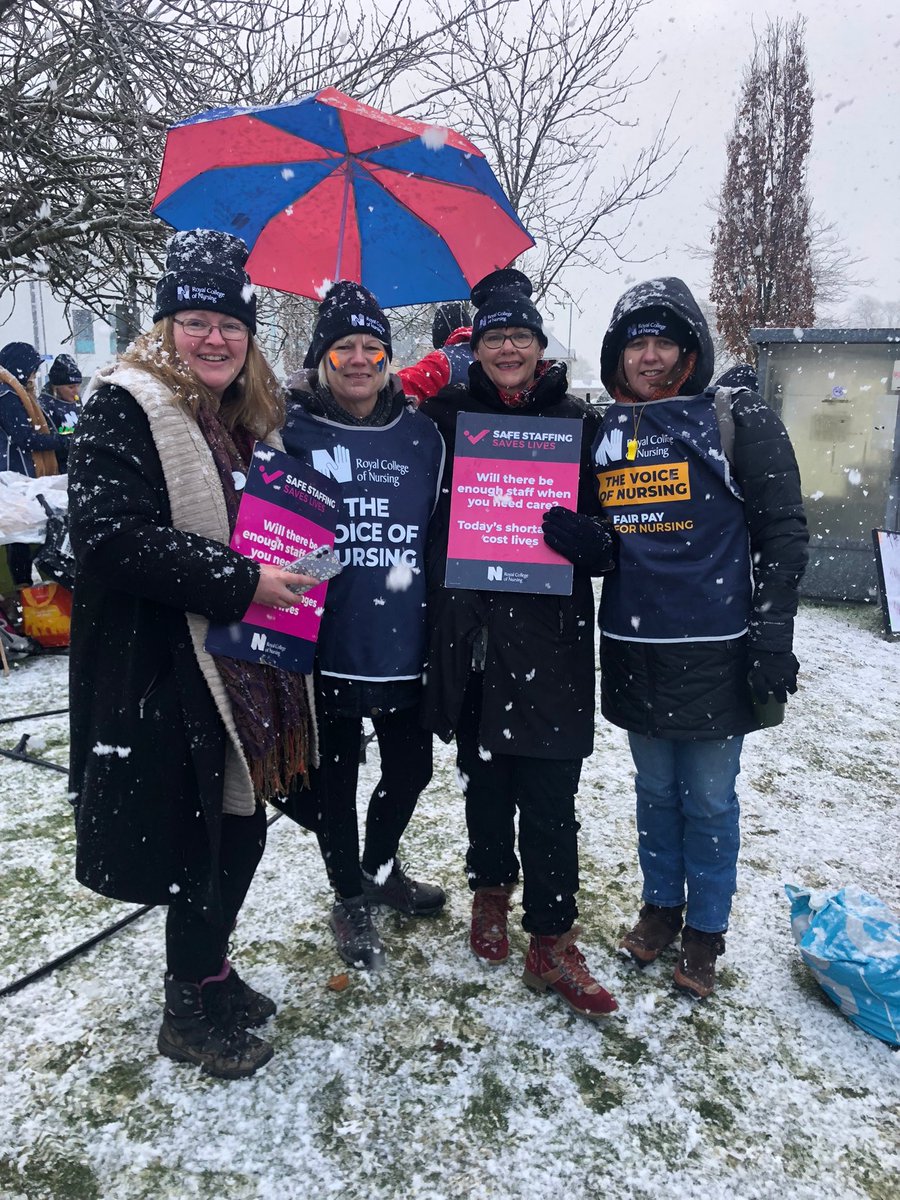 LizReece tweet media