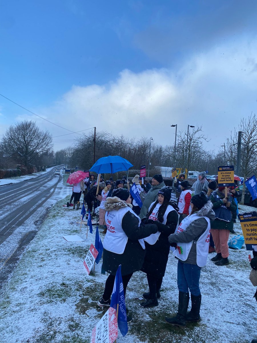 LizReece tweet media