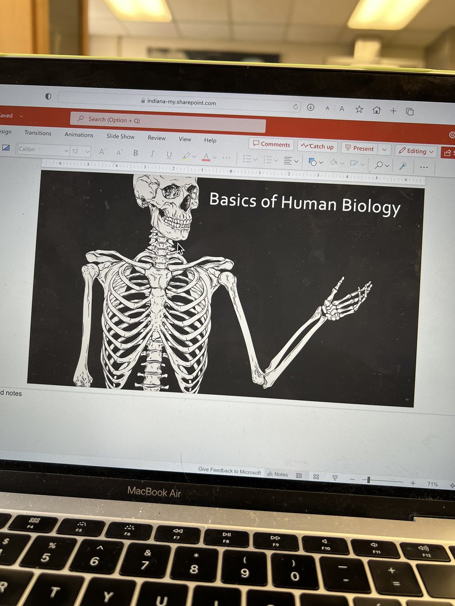 anthrosidney's tweet photo. week two of teaching anthro — a little reprieve into my teaching comfort zone of biology and anatomy https://t.co/OqGw1ZV16P