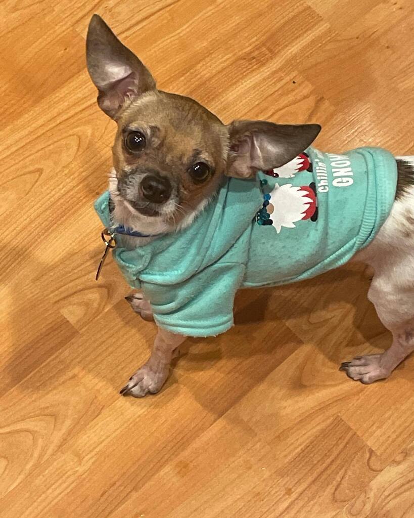 BanthaMilkPodcast tweet media