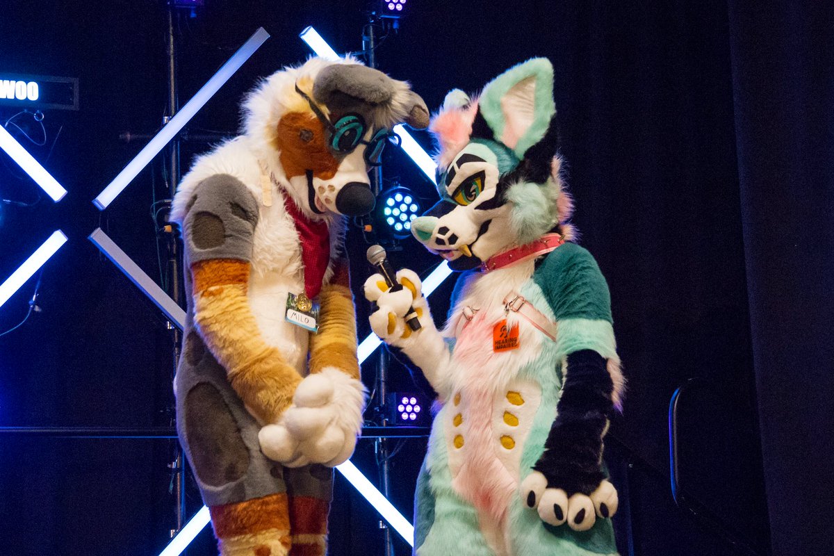 kijani_lion's tweet image. My photos from @anthronw are up! First an album featuring every entry in @spiltgrapesoda’s amazing Fursuit Exhibition: flickr.com/photos/kijanil…

And a general album of mostly Adult Fursuit Games &amp;amp; post-Dance Comp: flickr.com/photos/kijanil…

Enjoy! 🦁📸 #AnthroNW #ANW5