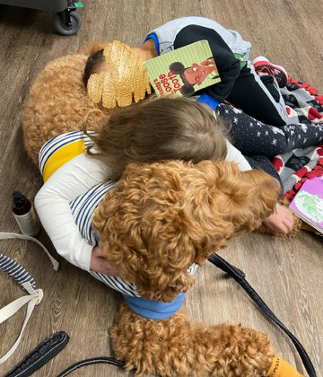 Angel Paws CFBC tweet media