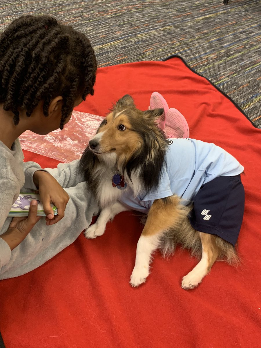 Angel Paws CFBC tweet media