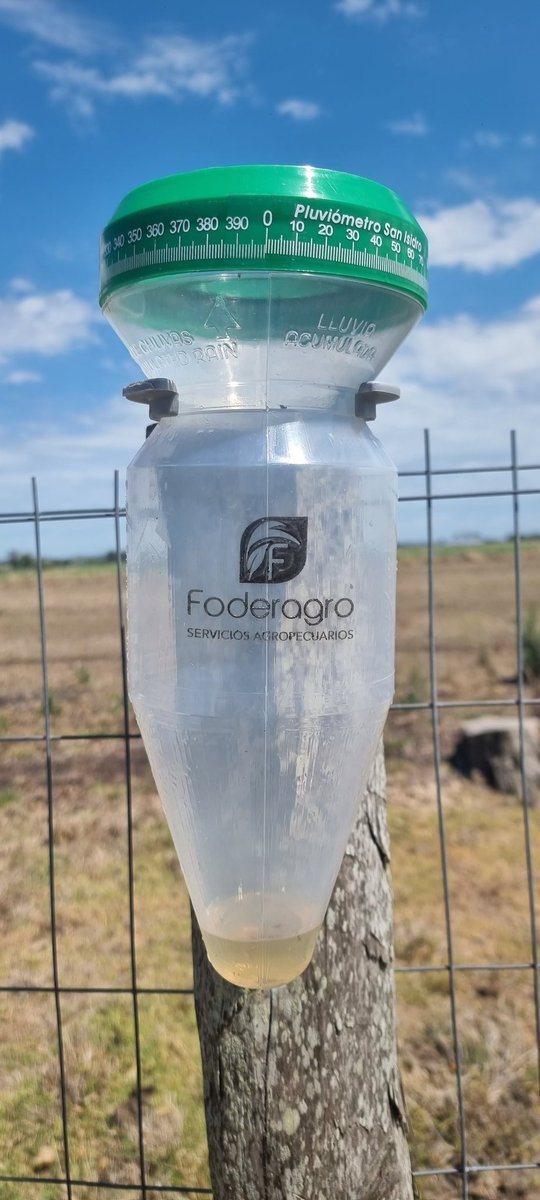 Pablo Fodéré tweet media