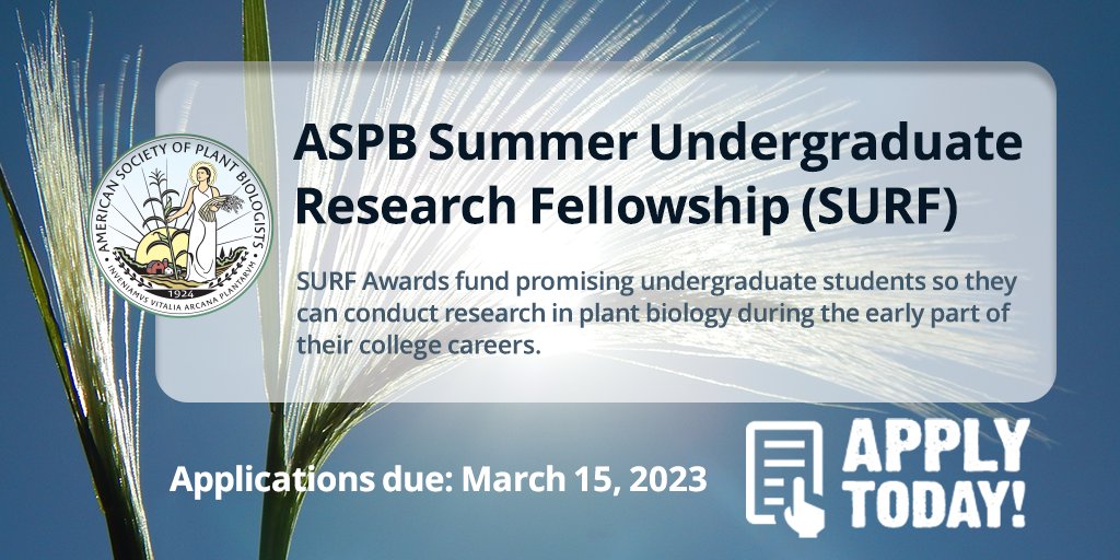 Undergrads: Get funded this summer with an ASPB Summer Undergraduate Research Fellowship (SURF)! 

See what past SURFers had to say about their experience bit.ly/3kgzrJG and apply by March 15! bit.ly/3wbMejd

#funding #plantscience