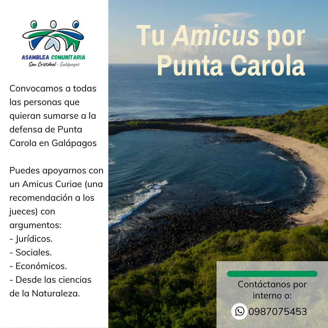 Quieres ayudar a salvar Punta Carola en la via judicial también?

Puedes apoyarnos con un Amicus Curiae (una recomendación a los jueces) con argumentos:
- Jurídicos.
- Sociales.
- Económicos.
- Desde las ciencias de la Naturaleza.
- etc.

Contáctanos por interno por fa!