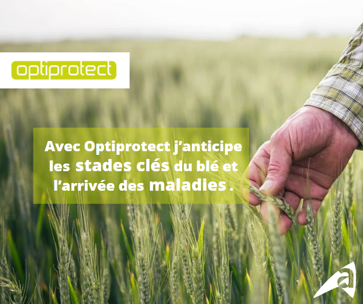 MesParcelles_'s tweet photo. “J’anticipe les stades clés du blé et l’arrivée des maladies.”
Après avoir testé un #OAD pour protéger ses cultures🌱 Sébastien utilise #Optiprotect pour réduire le temps de suivi de ses parcelles et mieux maitriser ses interventions🪲
Plus d’infos 👉https://t.co/9vUfYHCMVH https://t.co/hiJh27mxvQ