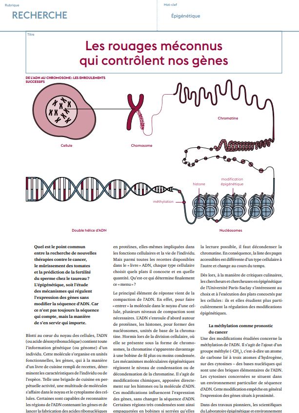[🔬📰#àlire] (1/2) 🧵Le dernier numéro de l'Edition de l'<a href="/UnivParisSaclay/">Université Paris-Saclay</a> est sorti. 
Parmi les sujets abordés, l'#épigénétique 🧬 est à l'honneur avec un focus sur les travaux de l'équipe de J. Tost du #CNRGH sur la méthylation de l'ADN comme pronostic du cancer mais pas que...