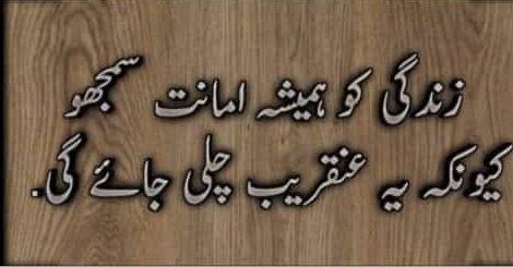 Mukhtarmagry's tweet photo. Life is nothing,but a journey towards death!!! https://t.co/sdMSLAi9Ix