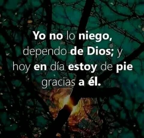 PauloCoelhoDice's tweet photo. https://t.co/1G8D6AlYIP