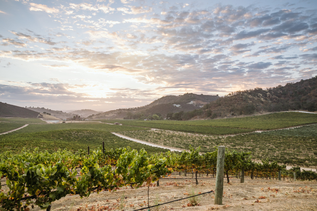 Eden_Rift's tweet photo. The perfect Valentine's Day Date 💕

Join us for our first event of 2023, our #Valentines "Say you’ll be wine," Picnic &amp; Hike for 2 on Saturday, February 11th. Welcomed with a glass of wine and a map of our hiking trail, walk amongst the vines to some of our most beautiful vi https://t.co/S2NXdqlQvd