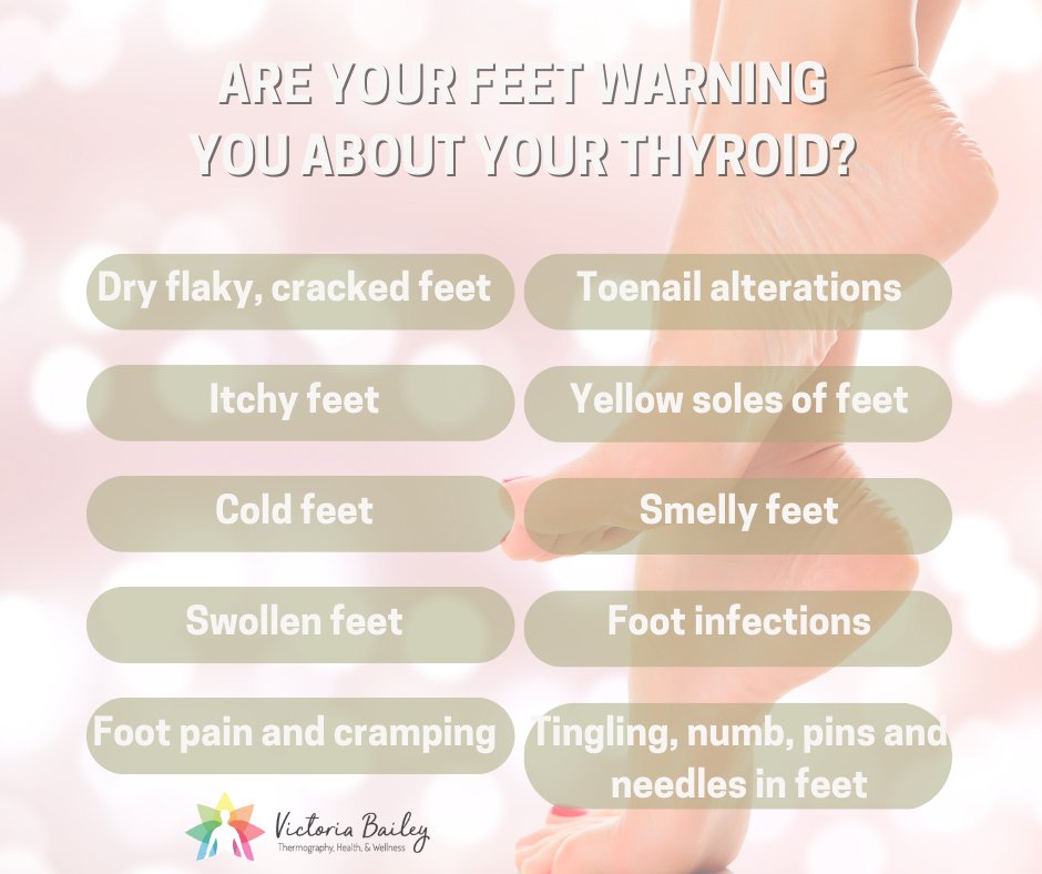 VBThermography's tweet photo. Your feet may be small, but they can give big signals about the health of your #thyroid! https://t.co/l79AxLJIBf