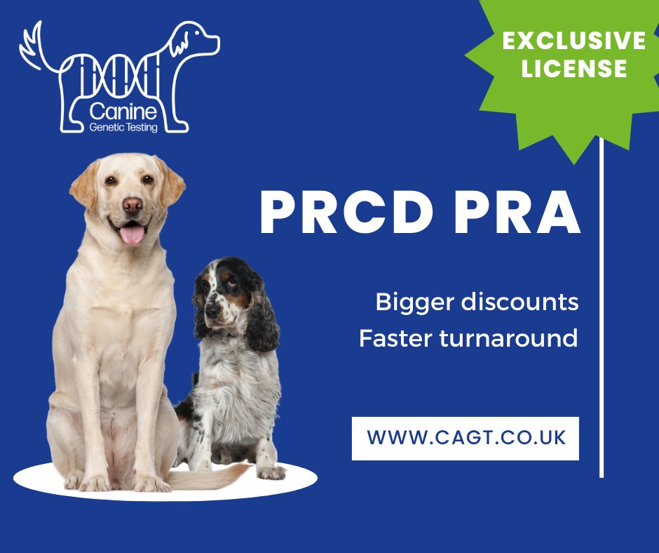 Canine Genetic Testing tweet media