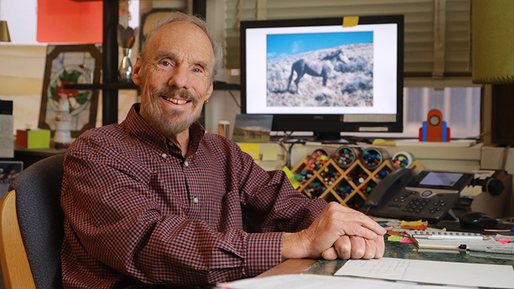TyrelUT's tweet photo. Wild horses are a classic image of the American west, but as the west gets drier and its population grows, controlling horse numbers is more important than ever.

Dr. John Turner is working to develop next-generation contraceptive vaccines at @UToledo. 

https://t.co/HhJnvoIDBl https://t.co/fPF5x4qXUd