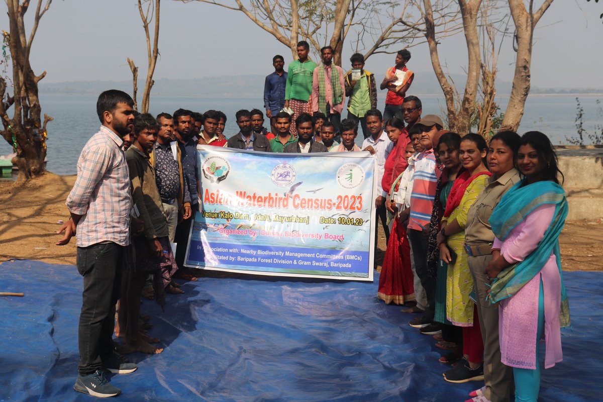 Obb_odisha's tweet photo. Asian Waterbird Census has conducted in 4 different locations (Kalo Dam, Pila Salunki Dam, Samal Barrage &amp; Harabhangi Dam) with the active  participation of Biodiversity Management Committee members organised by OBB.@NationalBiodiv @WetlandsInt @moefcc @ForestDeptt @PhulbaniD https://t.co/sd3PAFNcr5