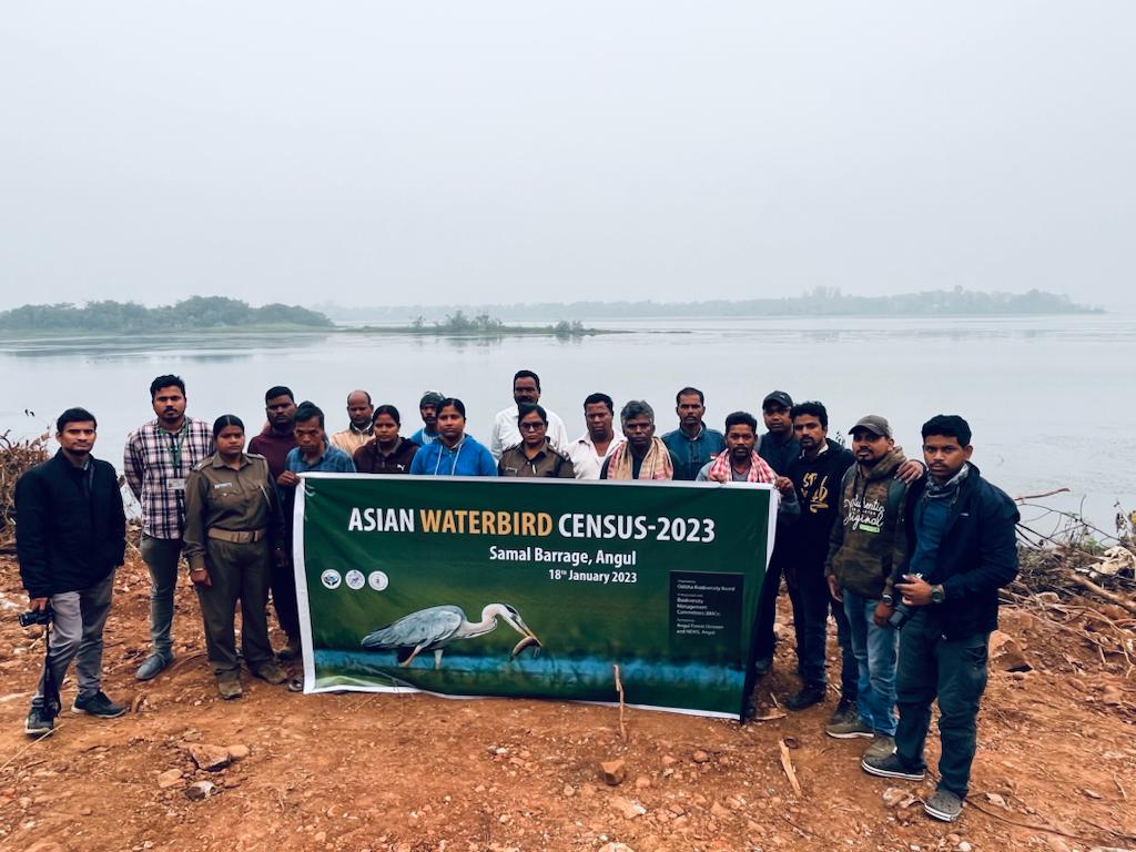 Obb_odisha's tweet photo. Asian Waterbird Census has conducted in 4 different locations (Kalo Dam, Pila Salunki Dam, Samal Barrage &amp; Harabhangi Dam) with the active  participation of Biodiversity Management Committee members organised by OBB.@NationalBiodiv @WetlandsInt @moefcc @ForestDeptt @PhulbaniD https://t.co/sd3PAFNcr5