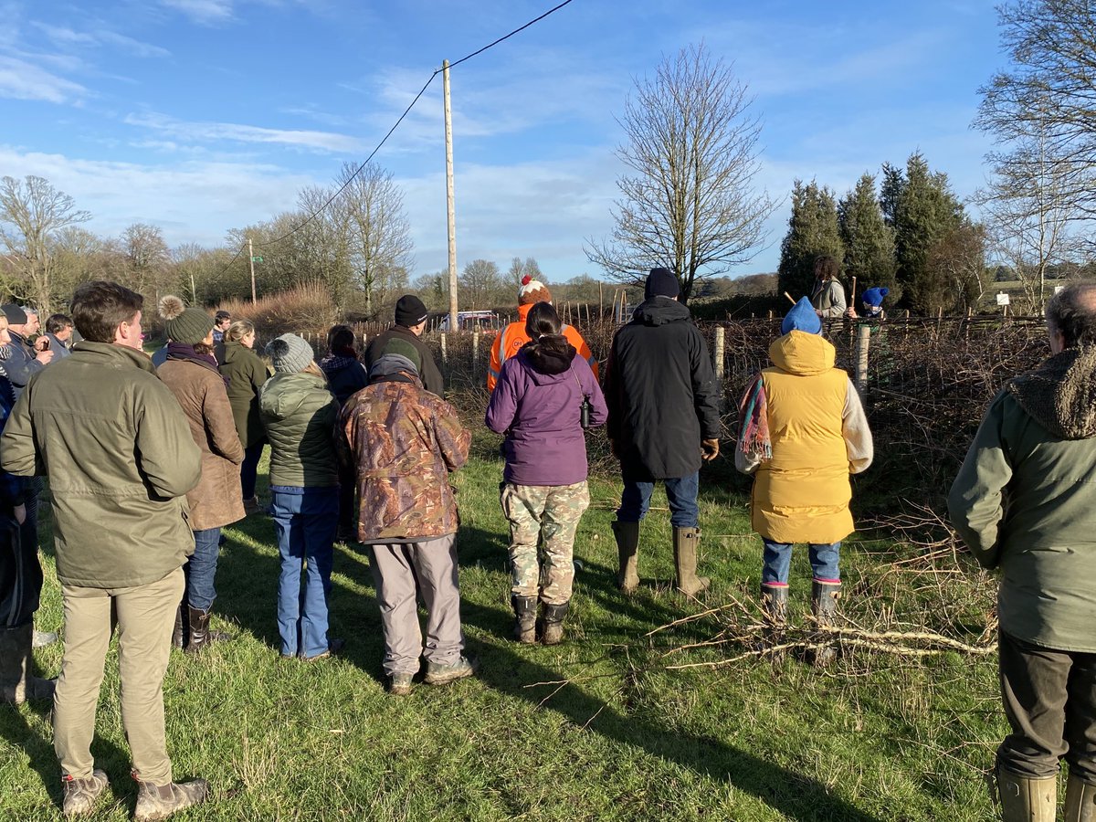 A chilly day hosting barham downs #clustergroup ⁦@kentdowns6⁩ Good to see the #CSS rates have increased and understanding what catchment sensitive grants are available. Finished off with a farm walk to see #ruralcourses doing a #hedgelaying demonstration & cover crops