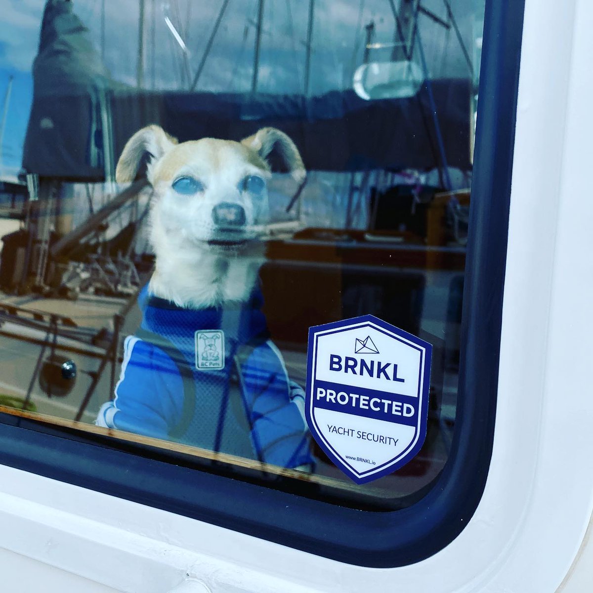 Our four-legged friend Mr. Sully understands the importance of protecting your boat. Great photo by @mvfreedomseattle 

#smartboats #boatsecurity #boatlife #yachtsecurity