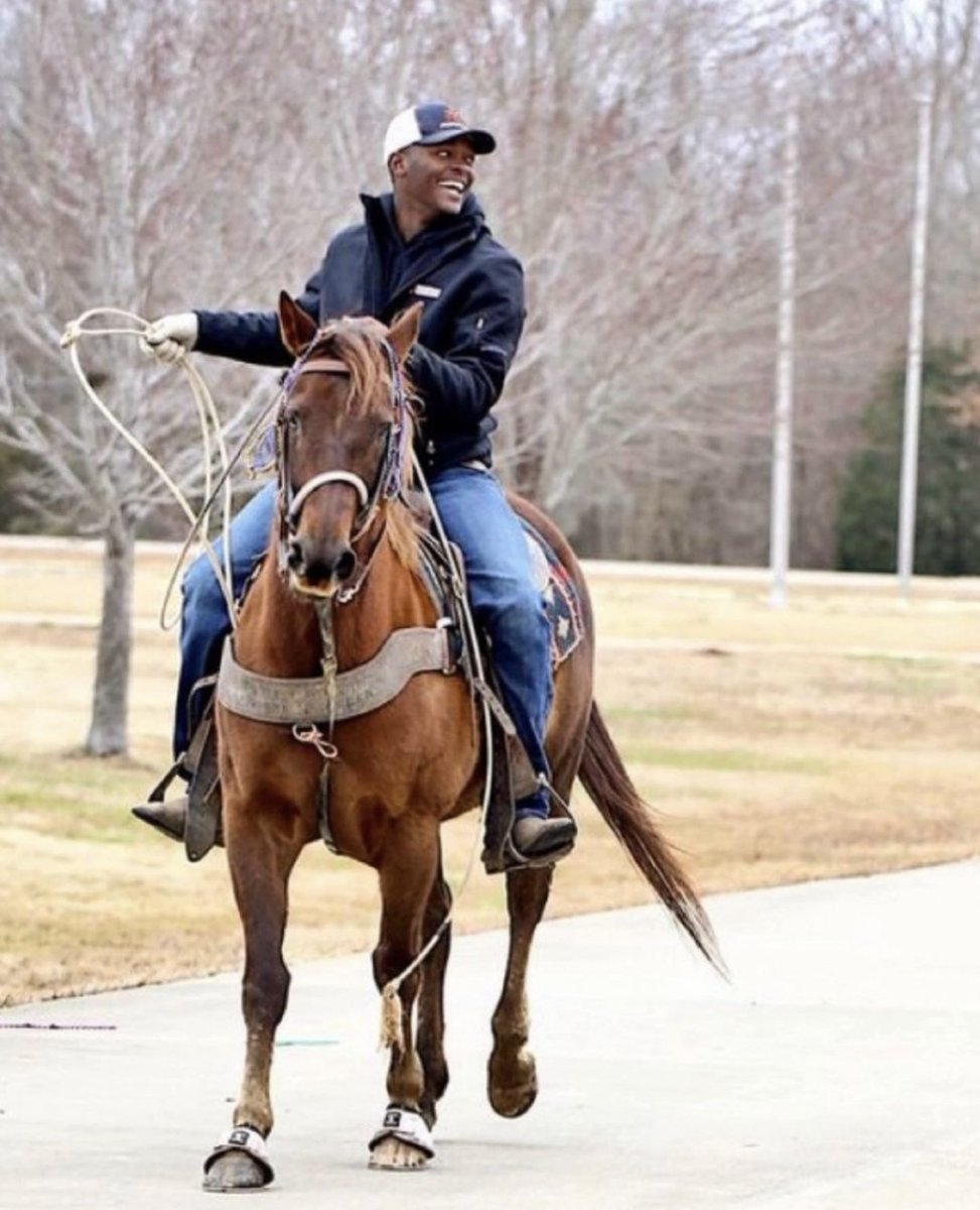 Hope everyone had a restful winter break and is now ready to start the semester strong! 

#RideIHSA #IHSAStrong #IHSA #CollegeRiding #HorseShows #TeamSpirit #IHSATeam @hailstateequestrian