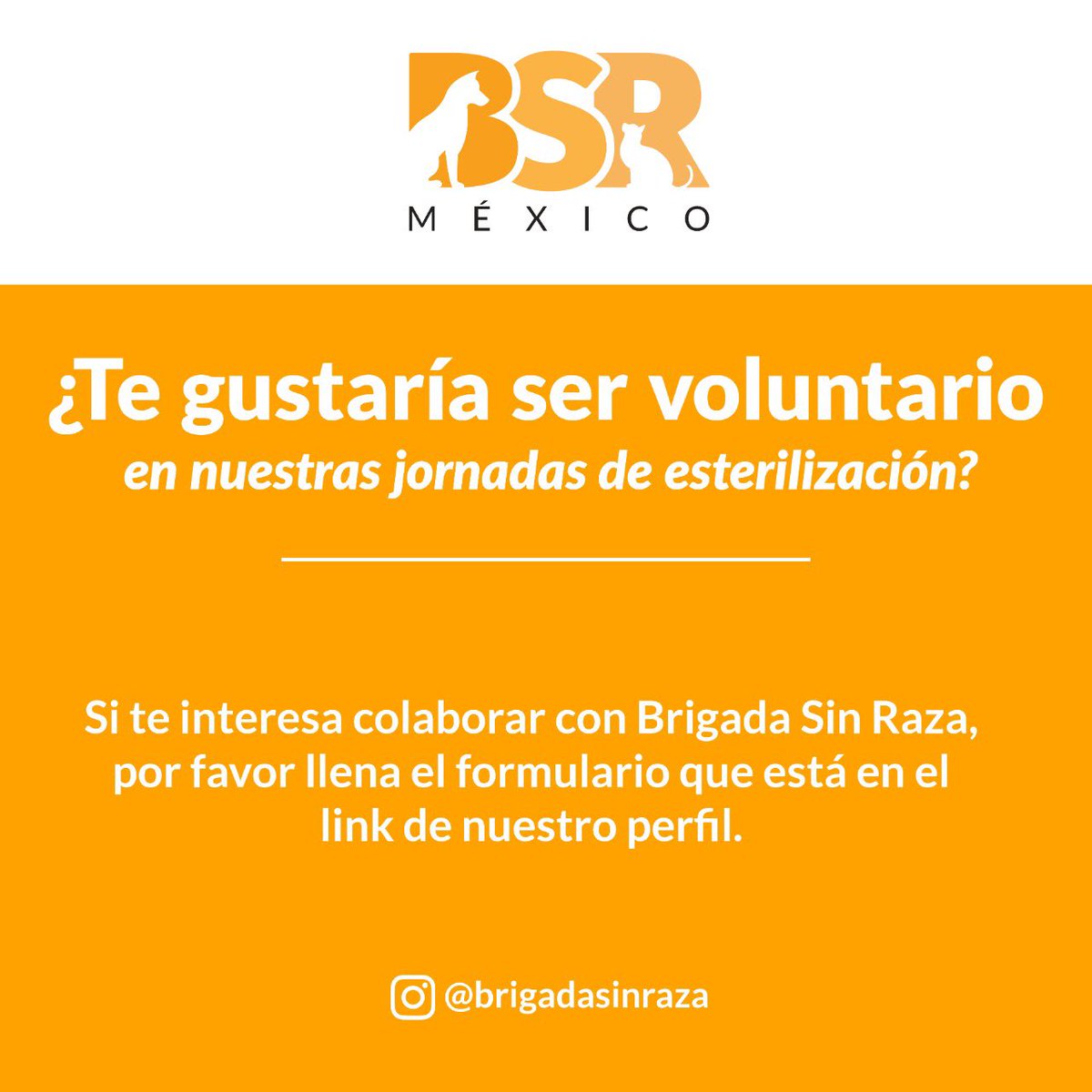 Brigada Sin Raza tweet media