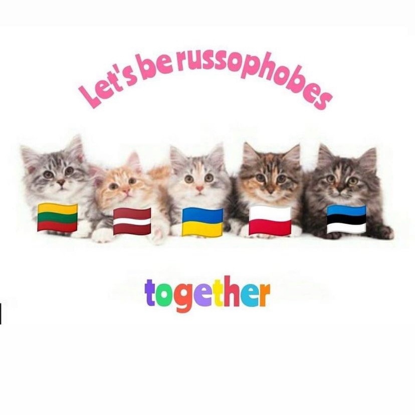 Cucmantrm's tweet photo. Picture of the day 🤭 https://t.co/hXHP6OeHff