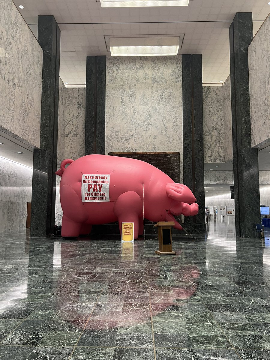 Liz Moran tweet media