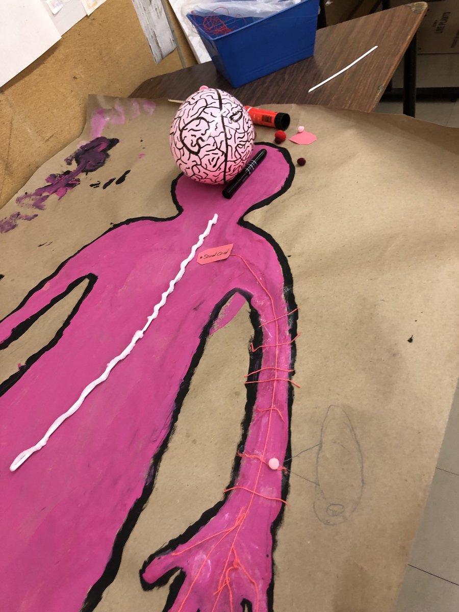 MmeLisa_Lewis's tweet image. Sneak peak of the extraordinary Gr 5 science collaboration for the human body inquiry. Stay tuned for pics of the exhibition in the #library. ⁦@TDSBLibrary⁩ ⁦@shelleylaskin⁩ @TDSB_DLL⁩ @osla #ONSchoolLibrary