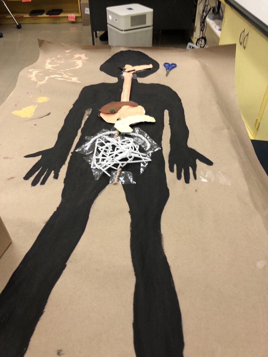 MmeLisa_Lewis's tweet image. Sneak peak of the extraordinary Gr 5 science collaboration for the human body inquiry. Stay tuned for pics of the exhibition in the #library. ⁦@TDSBLibrary⁩ ⁦@shelleylaskin⁩ @TDSB_DLL⁩ @osla #ONSchoolLibrary