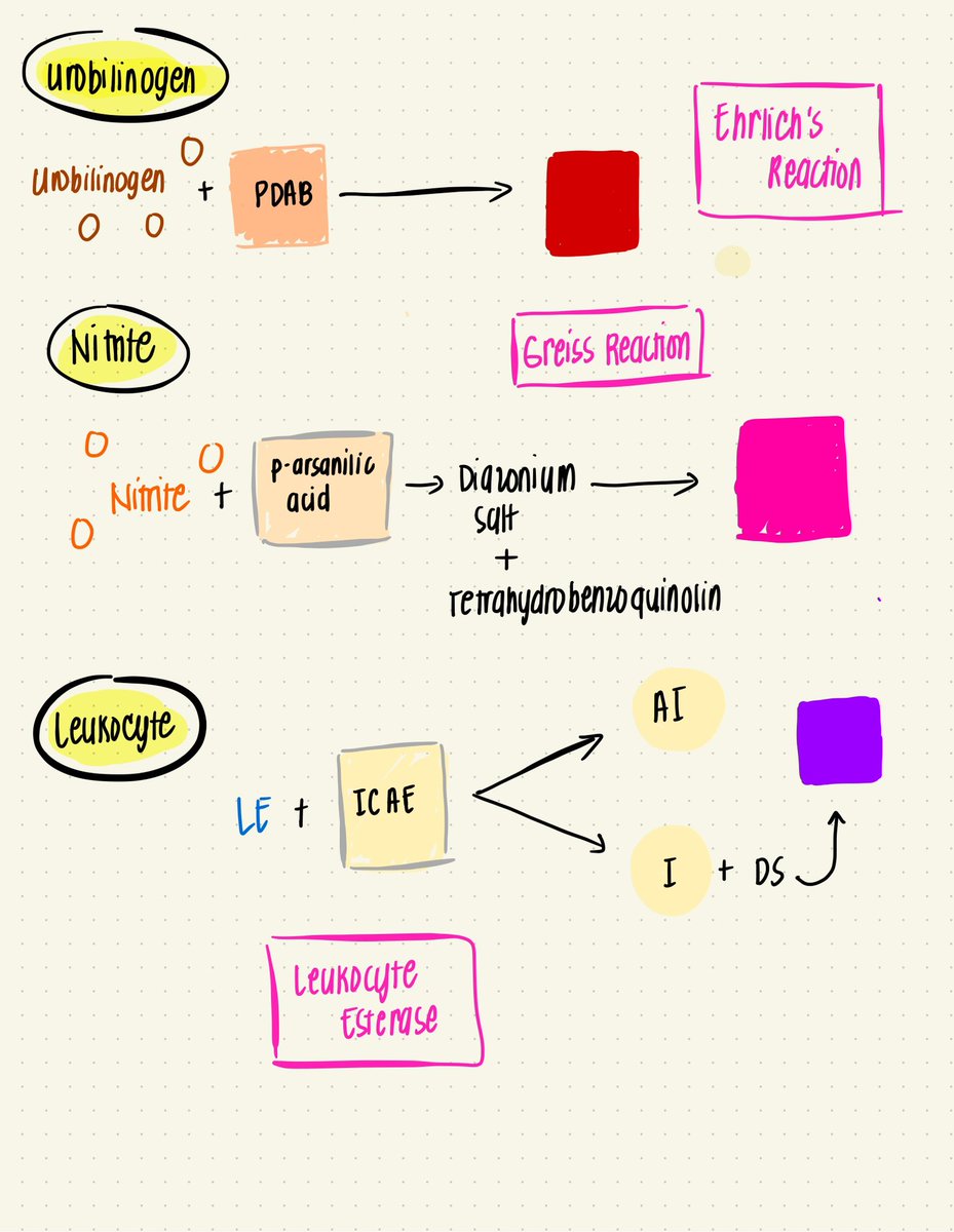 Ms. Chowi, RMT 🧡 tweet media