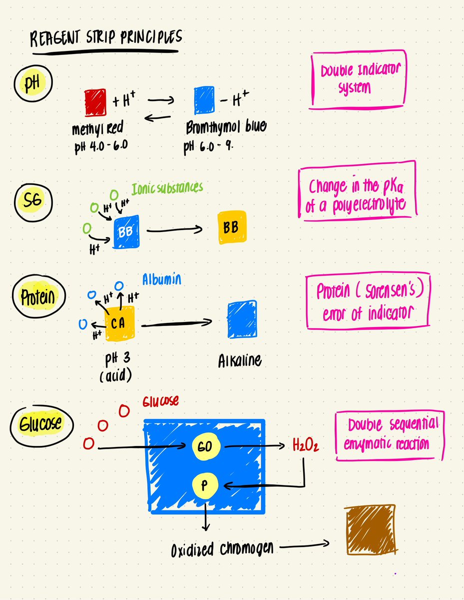 Ms. Chowi, RMT 🧡 tweet media