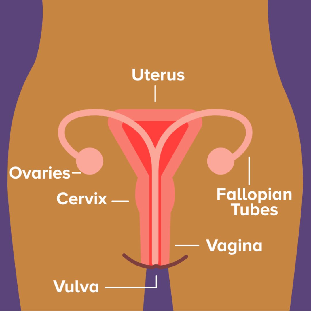 The Eve Appeal tweet media