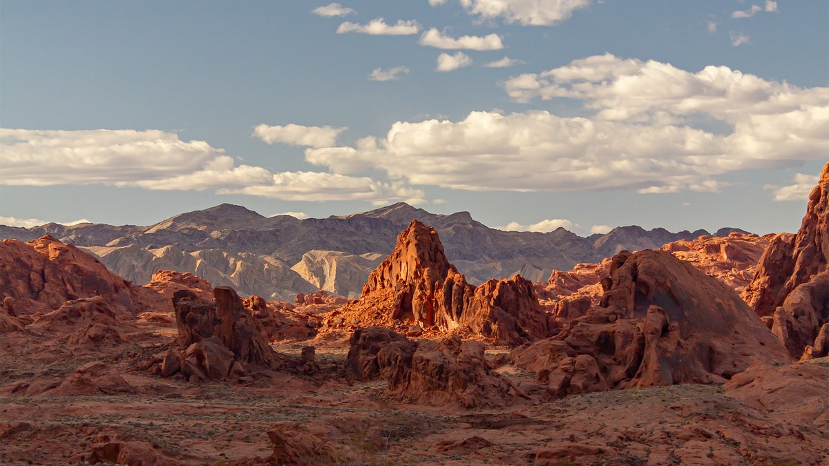 donjschaffer's tweet photo. This pic was made during a time of recent sorrow, though I came away embracing the fact that light & hope cast out fear. I hope it can do the same for you!
#landscapephotography #photoshopcreative #borisfxoptics #thankfulthursday https://t.co/NXK6njwpb2