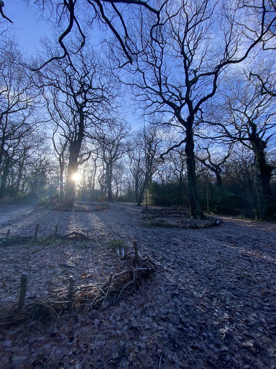 TCV Haringey tweet media