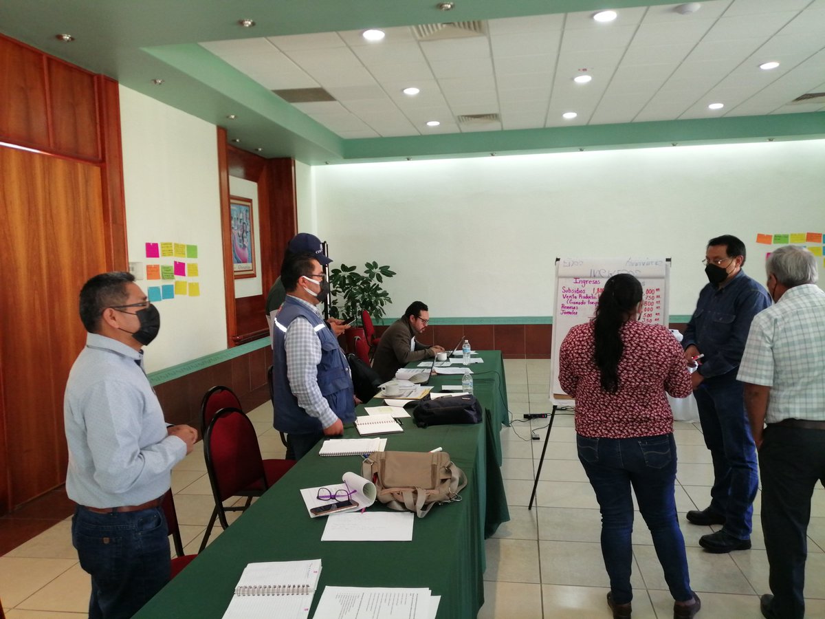 HubPSurCimmyt's tweet image. Conversando sobre educación financiera para promover el acceso a servicios financieros en el #HubPSur en las regiones de #Oaxaca en el marco del proyecto con #WalmartFoundation y @ACCIMMYT @CIMMYTesp