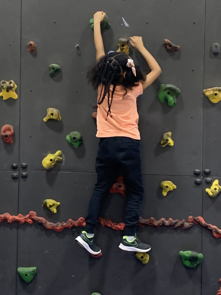 Dawn Ansari-Champion tweet media