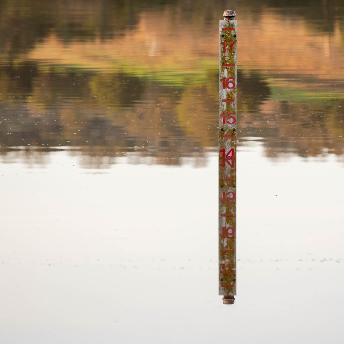 StanfordAlumni's tweet photo. Lake Lag, the little lake that could.

📸: H. Taghap

#Stanford #FarmPhotos https://t.co/RMXggQNIT7