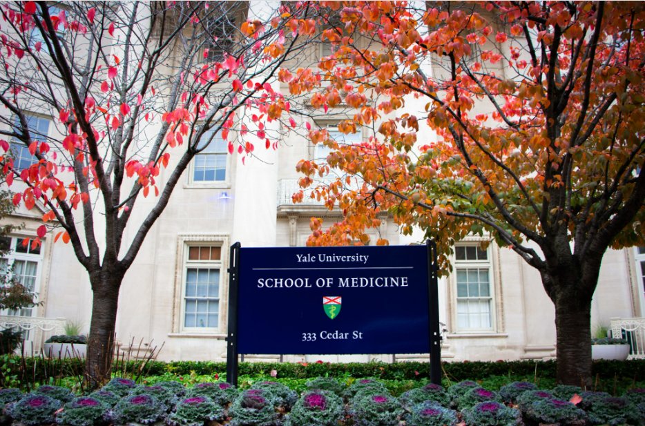 HartzSearch's tweet image. GO BLUE! 💙 Yale is seeking a Controller to join the Yale School of Medicine. 🏥
Check out the details below 👇
conta.cc/3ZGG1th
