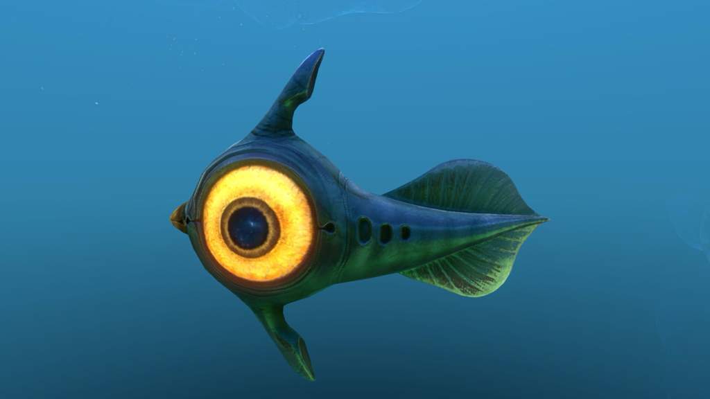 na3pic's tweet photo. Hello! Petit Live CHILL/discussion où je vous partage ma passion des poissons! ( oui je sais je suis chelou)🐠#aquariumdesigner #subnautica #twitchfr #twitchstreamer 
➡️https://t.co/nbzkttAUCO https://t.co/4S4Gv4c451